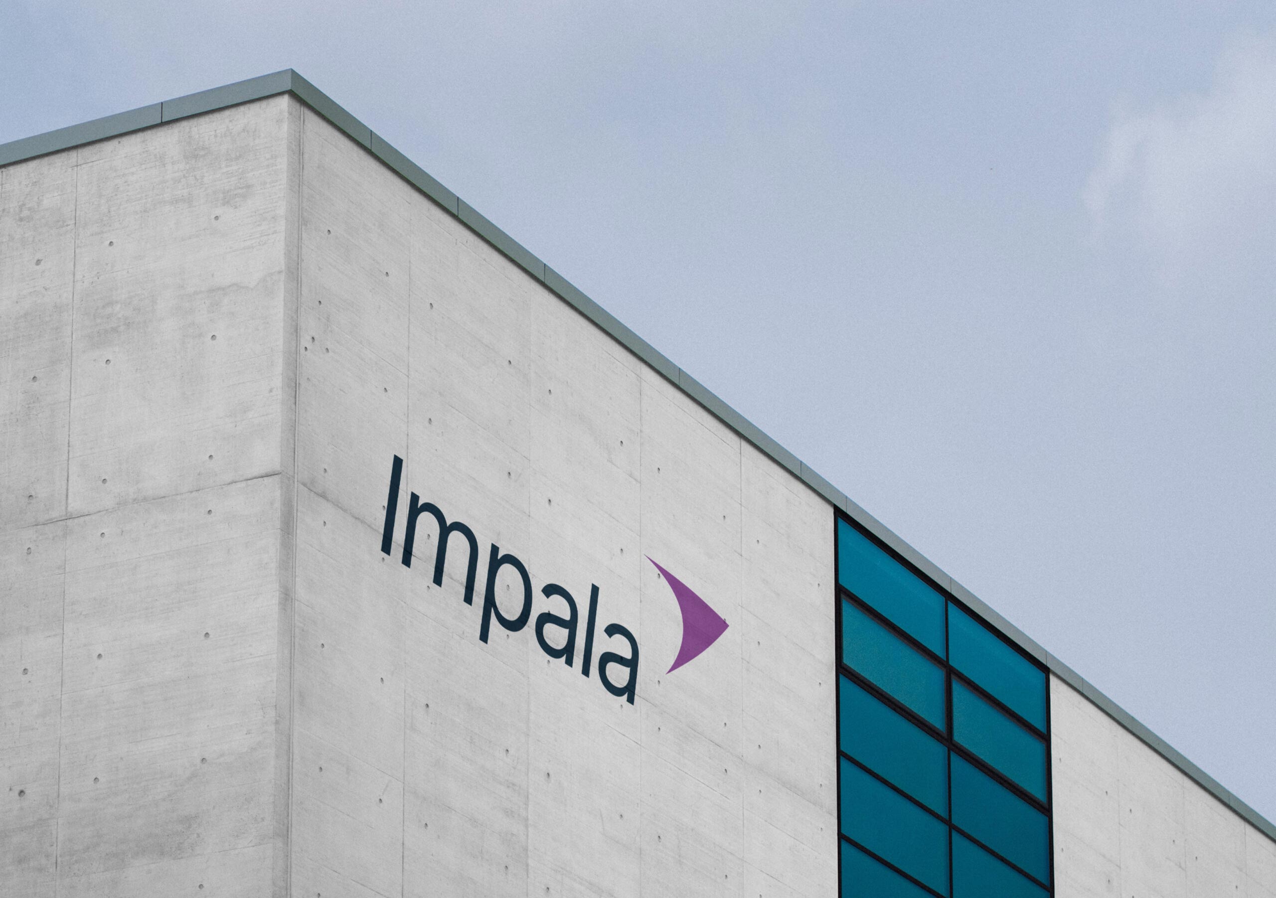 bart-jacq-impala-1.2-scalede